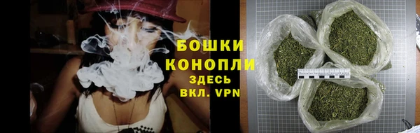 МДПВ Липки