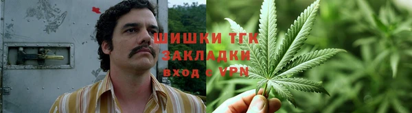 таблы Лиски