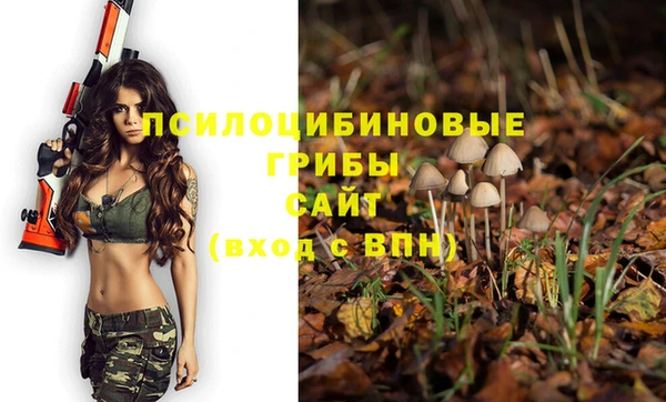 таблы Лиски