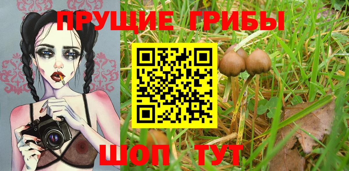 Псилоцибиновые грибы прущие грибы Донецк